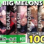 「痴女」 BIG MELONS series英霊ガールズ ＃01 『同人』