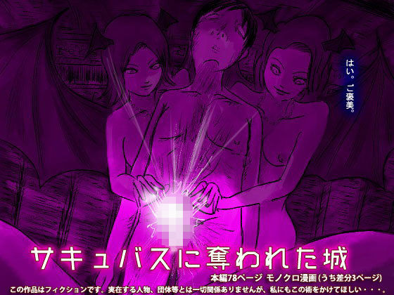 「痴女」 サキュバスに奪われた城 『同人』