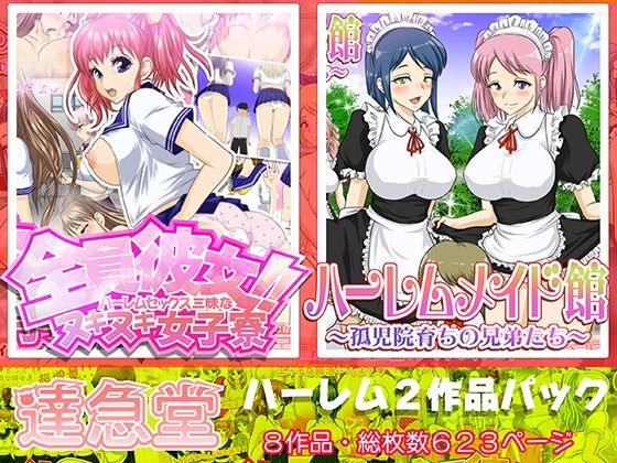 「痴女」 ハーレムシリーズ2作品パック 『同人』