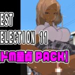 「痴女」 BEST SELECTION 11【ドM童貞PACK】 『同人』