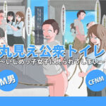 「痴女」 CFNM＋M男 三つの話 『同人』