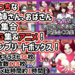 「痴女」 えっちなお姉さん、おばさん大集合CG＆アニメ！コンプリートボックス！ 『同人』