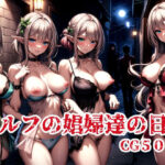 「痴女」 エルフの娼婦達の日常 『同人』