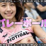 「痴女」 【コスプレ脱衣】スポーツ:バレーボール 編 ver.1 『同人』