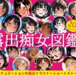 「痴女」 露出痴女図鑑 『同人』