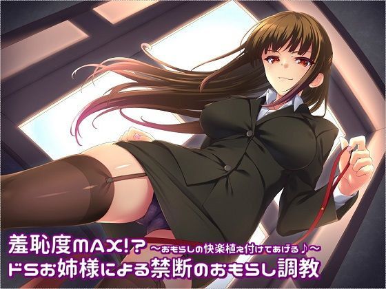 「痴女」 羞恥度MAX！？ ドSお姉様による禁断のおもらし調教 〜おも...