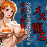「痴女」 航海士ナミ  メス堕ち  大海賊に肉便器化された中出し調教 『同人』