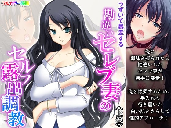 「痴女」 うずいて暴走する勘違いセレブ妻のセルフ露出調教 上巻 『同人...