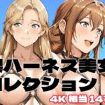 「痴女」 裸ハーネス美女コレクション 『同人』