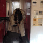 ＜痴女＞ 貴婦人の館で人間便器にされていく男 【高画質】