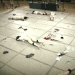 ＜痴女＞ 逃げ惑う男と死に物狂いで男を犯すオンナ20人 【高画質】