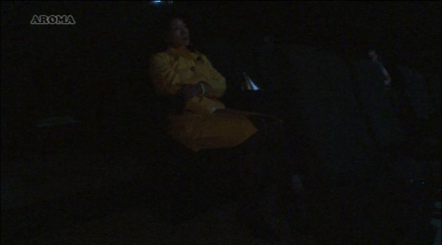 ＜痴女＞ ポルノ映画館に来る熟女 【高画質】