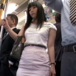 ＜痴女＞ ムチムチタイトスカートバス2 万年発情期 【高画質】