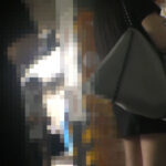 ＜痴女＞ 痴漢記録日記vol.126 【高画質】