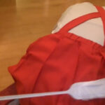 ＜痴女＞ Female Dominance Episode 011 ☆彡 【DUGA】