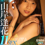 【痴女】 【VR】山気逢花 VR初ベスト！11本番480分の大ボリューム！ 痴女もイチャラブも共演も全て激シコ名作8タイトル！演技力とエロテクをフルに生かすVR×山岸逢花が最強！ 新技術や撮影技法であいぱんの魅力たっぷり8時間！ ＜FANZA＞