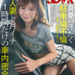 【痴女】 【VR】真夏の汗だく駐車場不倫 出会って3秒で濃厚ベロチュウ パチンコ中の旦那を置いて抜け出してきたレス人妻と月イチ1時間だけの車内密会 なつ（専業主婦32歳） ＜FANZA＞