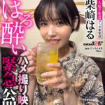 【痴女】 照れ屋ショートカットグッズ事業部 入社2年目 柴崎はる 撮影後プライベート映像！ほろ酔いハメ撮り映像を緊急公開！普段の柴崎はもっとエロかった！ ＜FANZA＞