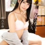 【痴女】 【VR】澄んだ朝。目が覚めると…そこには姉に痴女られている僕がいた。 咲乃小春 ＜FANZA＞