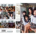 【痴女】 ハーレム学園プレミアム VOL.1 ＜FANZA＞