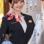 【痴女】 ハネムーン中の新婚夫婦から旦那をお触り誘惑 館内で寝取り口淫セックスをくり返す淫乱美人なホテルスタッフ 渚恋生 ＜FANZA＞