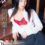【痴女】 【AIリマスター】朝河蘭 4時間 SOD Premium Collection ＜FANZA＞
