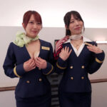 【痴女】 サキュバスエアライン優秀遺伝子を搾精する淫魔ファーストクラス！セレブ客の行先は天国か地獄か？弁護士編 ＜FANZA＞